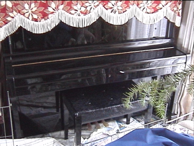 2007newyearinaomori 005.jpg